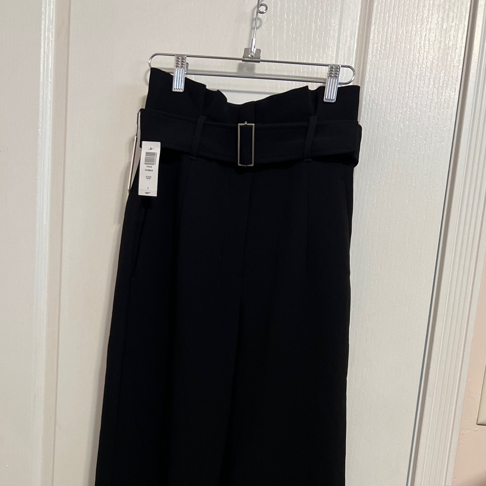 Aritzia Babaton Power Pants